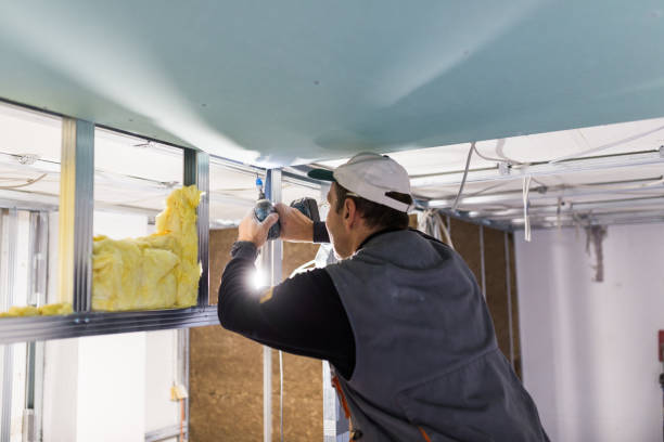 Best Insulation Maintenance and Repair in Soh Weber, UT